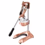Manuelle Fruchtsaftpresse - mit 3 Filtern - Bronze