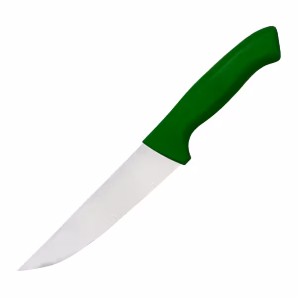 Vleesmes - recht - RVS - Lemmet: 165mm