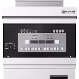 Elektrische Fritteuse mit Filtersystem - 26 Liter - 14,2 kW - Digital