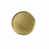 Pasta Shaping Disc - Capelli d’Angelo - 1mm - Ø 50mm - compatible with NMF5N