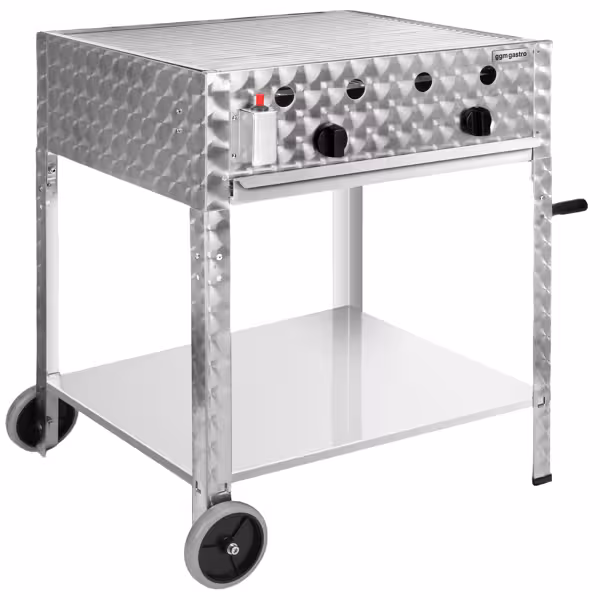 Gas grill - 10 kW - 2 burners - incl. mobile base, grill grate & tray