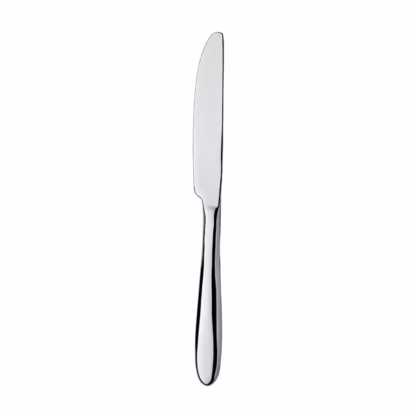 (12 pcs) Table knife - Leandro - 13/0 stainless steel - 207mm