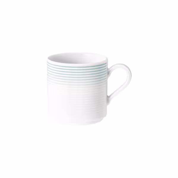 (6 stuks) SELTMANN WEIDEN | Mok met handvat - 0,28 liter - Arctisch blauw