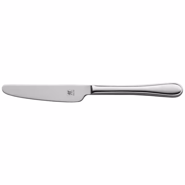 ZWILLING | Country Table Knife – 210 mm - Tapered blade - One-piece construction - 18/10 stainless steel - polished