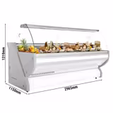 Banco gastronomia professionale / Banco Macelleria - 2965x1150mm - Statica - 570 L - Vetro curvo - Bianco - servizio assistito