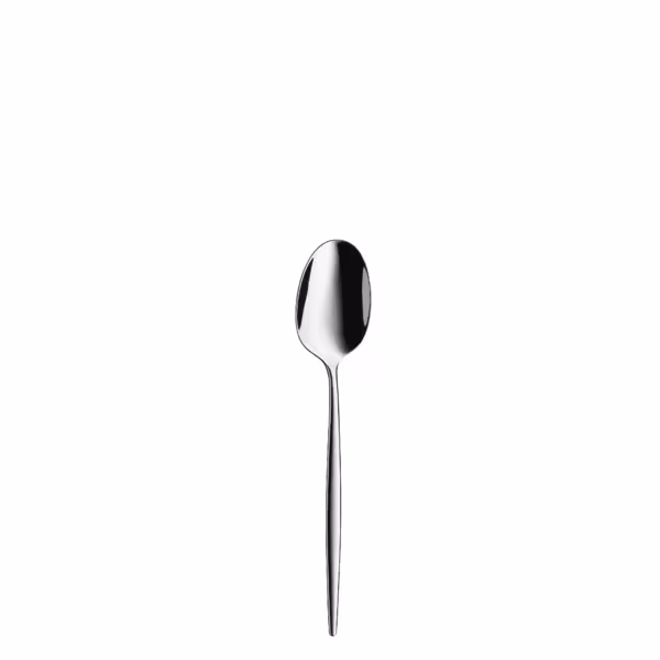 (12 stuks) WMF | ENIA - Dessertlepel - 163mm - gepolijst