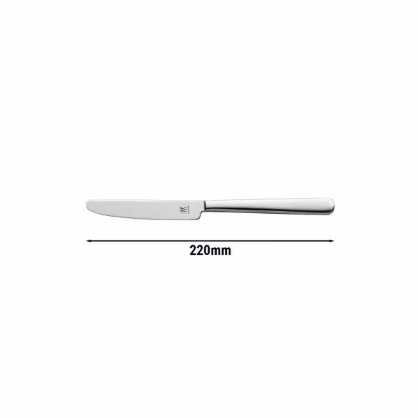 ZWILLING | Melody Dinner Knife – 220 mm - 18/10 stainless steel - polished