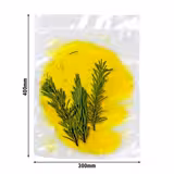 (500 pcs) Vacuum Bag - Smooth - 300x400mm - Transparent