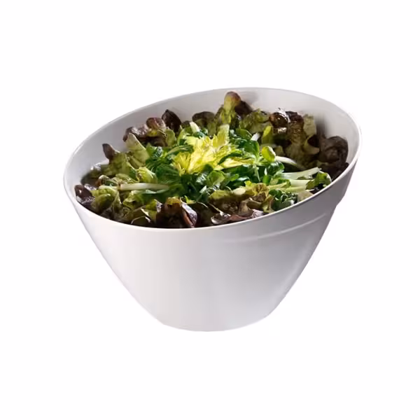 (6 adet) Kase - BALANCE - Melamin - 2,5L - yuvarlak - Ø245mm - Derinlik:150mm - Beyaz