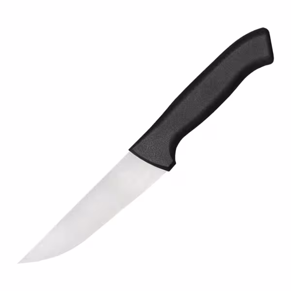Vleesmes - recht - RVS - Lemmet: 125mm