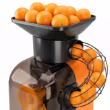 Elektrische Orangenpresse - mit automatischer Fruchtzufuhr - Orange