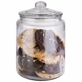 (6 pcs) Bocal de conservation - CLASSIC - 6 l - Transparent - incl. couvercle en verre avec joint