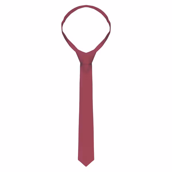 (5 stuks) KARLOWSKY | Stropdas - 148 x 6,5 cm - Bordeaux