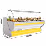 Koelvitrine - 2965x1150mm - gebogen ruit - verlichting - granieten werkblad - automatische ontdooiing