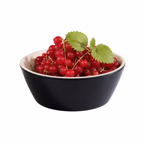 (6 pcs) Bowl - FRIDA - Melamine - 440ml - square - 150x150mm - Depth: 55mm - Black & Beige