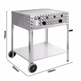 Gasgrill - 10 kW - 2 Brenner - inkl. mobilem Untergestell, Grillrost & Blech