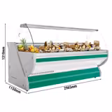 Banco gastronomia professionale / Banco Macelleria  - 2965x1150mm - Statica - 570 L - Vetro curvo - Colore Verde - Pannello frontale Verde