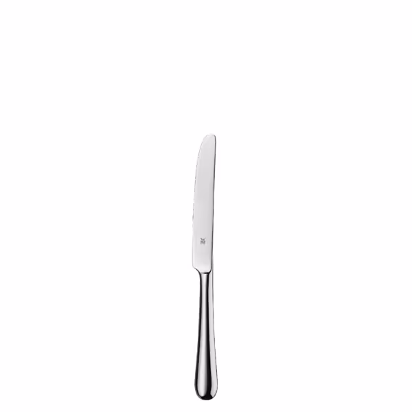 (12 pièces) WMF | SIGNUM - Couteau à fruits - 170 mm - poli  