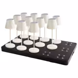 Charging Station (15-way) - Stackable - ABS Plastic - 750x430x50mm - Black - incl. mains plug; 2 remotes with batteries