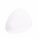(6 pcs) SELTMANN WEIDEN | Roll / cake plate – COFFE-E-MOTION – Ø 220 mm – White Porcelain