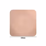 (6 pcs) SELTMANN WEIDEN | Coupe Side Plates – Ø 220 mm – porcelain – dishwasher-safe – square – old rose