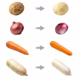 Електрична картоплечистка - 600 кг/год - ємність 70,5 л