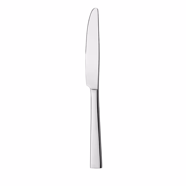 (12 pcs) Table knife - Luca - 18/0 stainless steel - 244mm