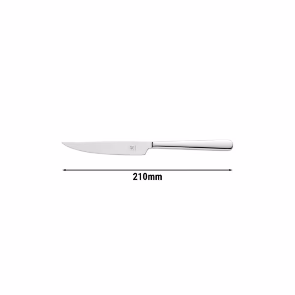 ZWILLING | Melody Steak Knife – 210 mm blade - 18/10 stainless steel - polished
