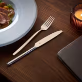 (12 pieces) WMF | Bistro Dinner Fork – 18/10 stainless steel - polished - 200 mm
