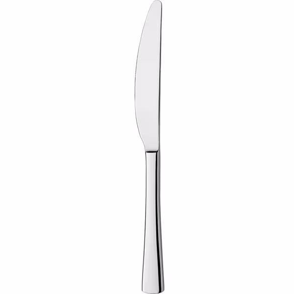 (12 pcs) Table knife Alessandra - 18/10 stainless steel - 217mm