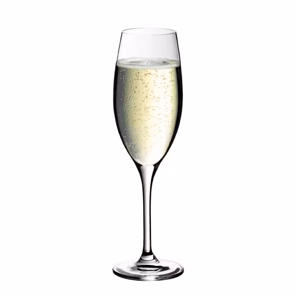 (6 pezzi) WMF | ROYAL - Bicchiere da champagne 29 - 250 ml - con linea di riempimento