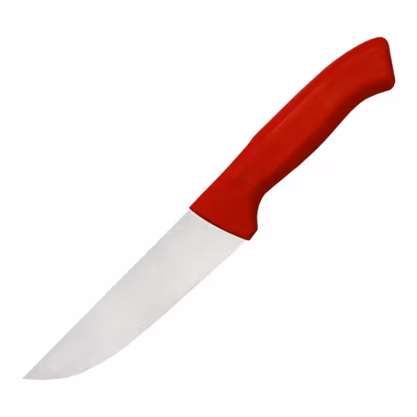 Vleesmes - recht - Lemmet: 145mm - RVS