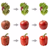 Lavatrice e asciugatrice per verdure	