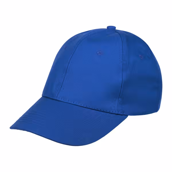 Pet - blauw