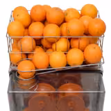 Presse-agrumes électrique - avec alimentation manuelle des fruits et robinet de vidange - Argent