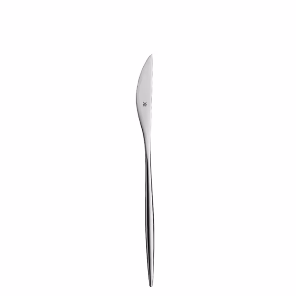 (12 stuks) WMF | ENIA - Voorgerecht-/dessertmes mono - 213mm - gepolijst