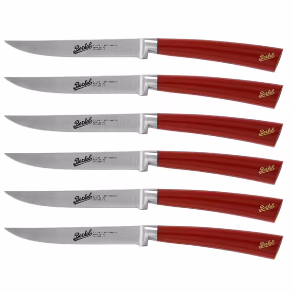 BERKEL | ELEGANCE - Steakset - 6 stuks - Mes: 110mm