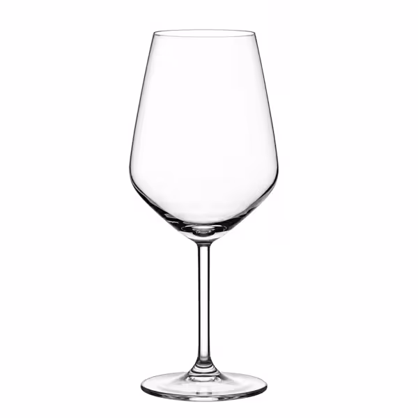 (6 pcs) Wine glass - ALLEGRA - 490 ml - Clear