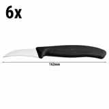 VICTORINOX | SWISS CLASSIC - Spelucchino curvo - Lama: 60 mm - 6 pezzi