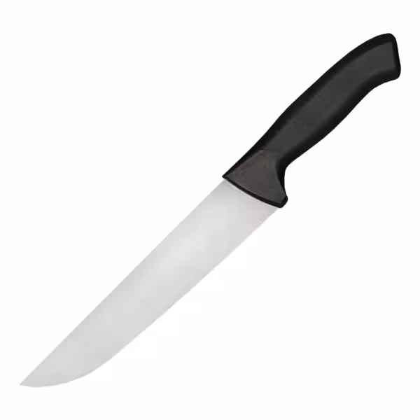 Couteau à viande - lame : 210 mm