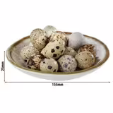 (6 Stück) Schale - STONE ART - Melamin - 0,15 Liter - Ø 155mm - Weiß/Braun
