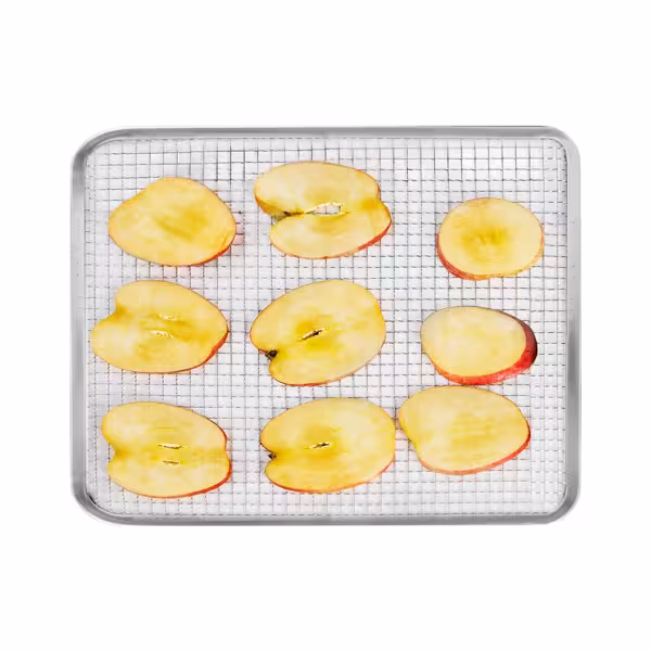 Tartelette bakplaat – Dörrgerät - 300x280x30mm - passend voor DGHB10 & DGSHB10